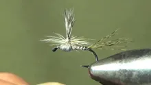 Video thumb for Hackle Wing Callibaetis