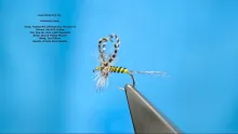 Video thumb for Andre Puyan's Loop Wing Dry Fly