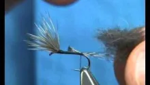 Video thumb for August Dun (DryFly) 