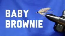 Video thumb for Baby Brownie