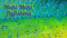 Video thumb for Mahi Mahi Fly Fishing