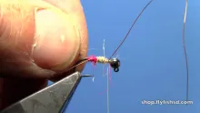 Video thumb for Tungsten Jig Red Butt Nymph