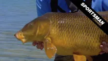Video thumb for Fly Fishing for Carp