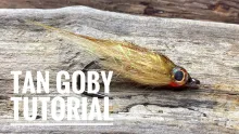 Video thumb for Tan Goby