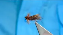 Video thumb for Great Red Sedge/Murrough