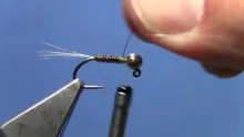 Video thumb for Party Crasher Jig Nymph