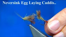 Video thumb for Neversink Egg Laying Caddis