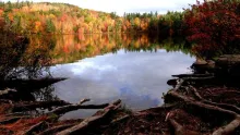 User submitted picture: Remote hike-in pond in Ne...