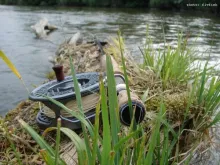 User submitted picture: Silent Life