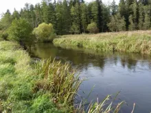 User submitted picture: River Oertze, Germany, Lo...