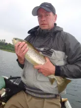 User submitted picture: Brown Trout  62 cm, 
Rod...