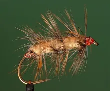 User submitted picture: Small Bug for the seatrou...