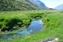 User submitted picture: This small NZ spring cree...