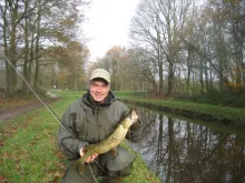 User submitted picture: Pocket water, small pike!...