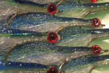 User submitted picture: Coastal Baitfish prepared...