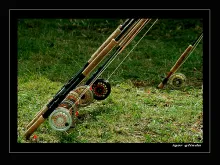 User submitted picture: Game Fair