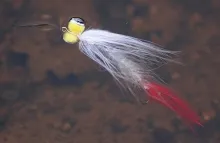 User submitted picture: The same fly but in wet c...