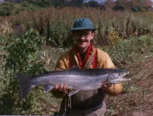 User submitted picture: Big Buck Steelhead
