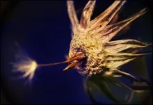 User submitted picture: ***