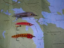 User submitted picture: In Search of Fontinalis