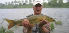 User submitted picture: Barbel on Cadis Pupa nymp...