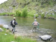 User submitted picture: Like it or hate it - indi...