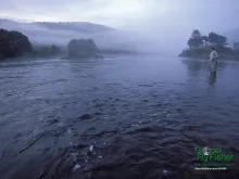 Computer screen wallpaper: Morning mist on the Mandal