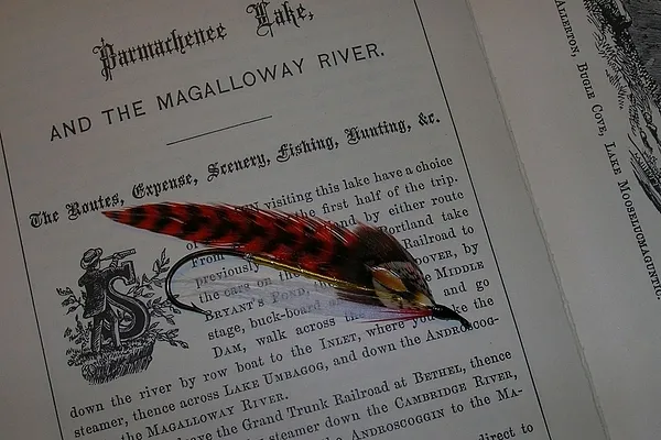 User submitted picture: Streamer Fly