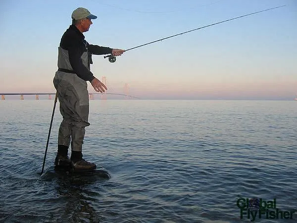 User submitted picture: Henning casting