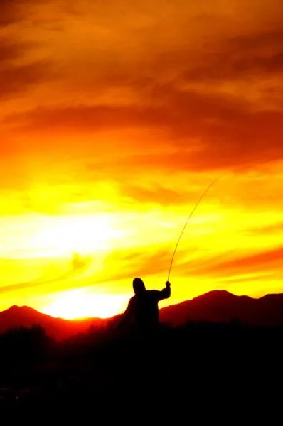 User submitted picture: no comment nr.2