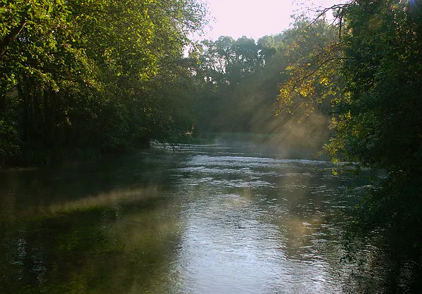 User submitted picture: ...early morning on River...