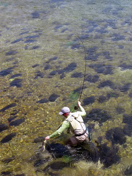 User submitted picture: "Grayling !!" by www.gu...