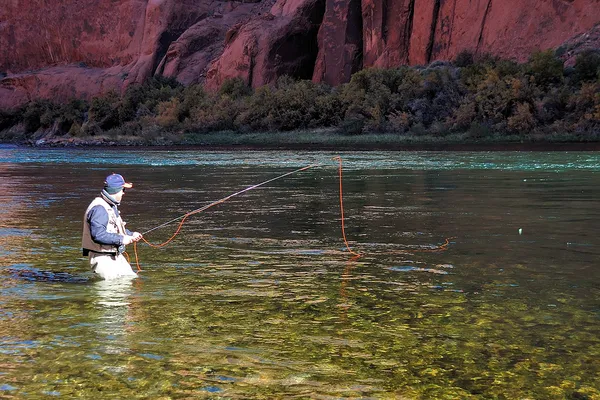 User submitted picture: Walking a long mend downs...