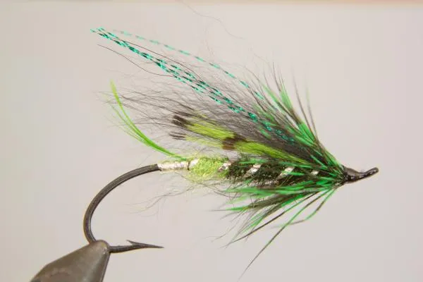 User submitted picture: Un-named Fly