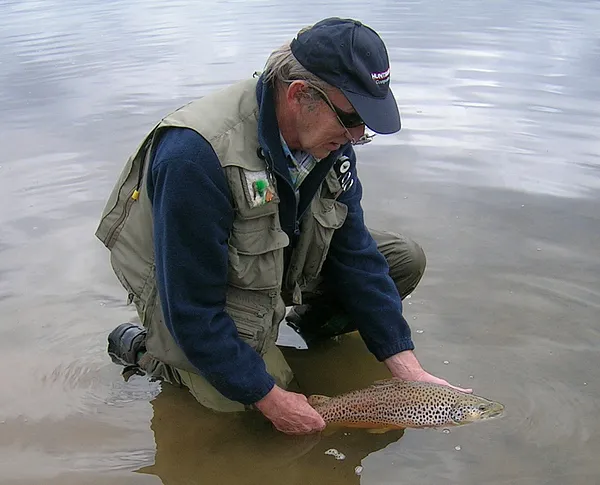 User submitted picture: Releasing a nice brown tr...