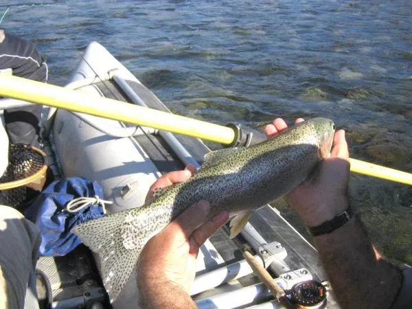 User submitted picture: Kamchatka guide ANDAH AKA...