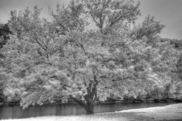 User submitted picture: Single Image Tone-mapped ...